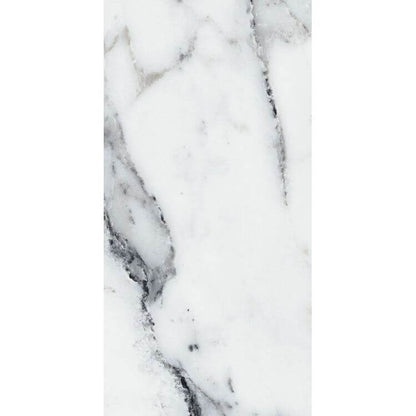 Origines Argent Matte 24 x 48 by REX - Hey Tiles