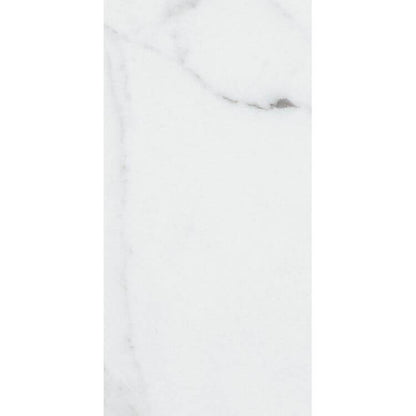 Origines Argent Matte 24 x 48 by REX - Hey Tiles