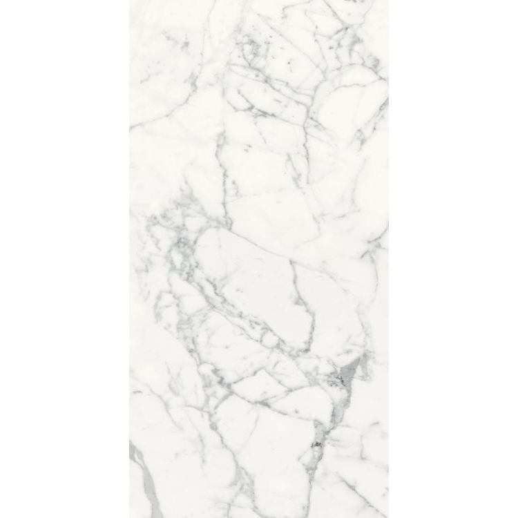 Origines Blanc Glossy 24 x 48 by REX - Hey Tiles