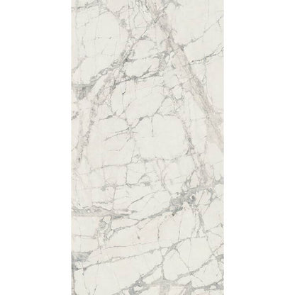 Prexious Mountain Treasure Matte 24 x 48 - Hey Tiles