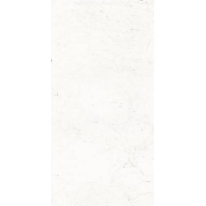 Pure Carrara Lux 24 x 48 - Hey Tiles