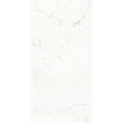 Pure Carrara Lux 24 x 48 - Hey Tiles