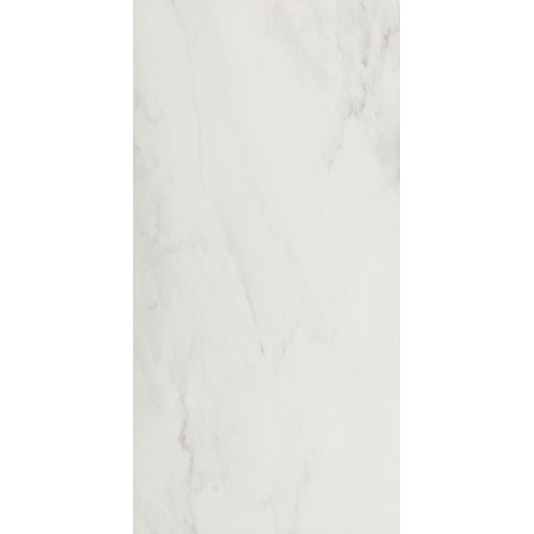 Snow Matte 24 x 48 Ecoceramic Ceramica - Hey Tiles