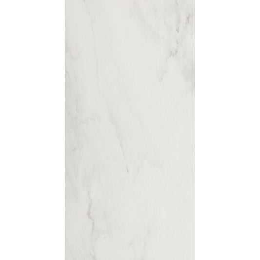 Snow Matte 24 x 48 Ecoceramic Ceramica - Hey Tiles