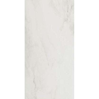 Snow Polished 24 x 48 Ecoceramic Ceramica - Hey Tiles