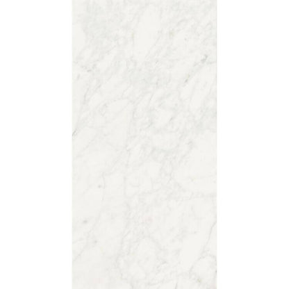 Stontech Stone.01 Glossy 24 x 48 - Hey Tiles