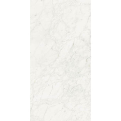 Stontech Stone.01 Glossy 24 x 48 - Hey Tiles