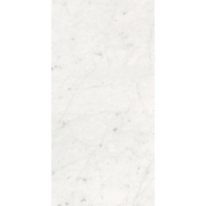 Stontech Stone.01 Glossy 24 x 48 - Hey Tiles