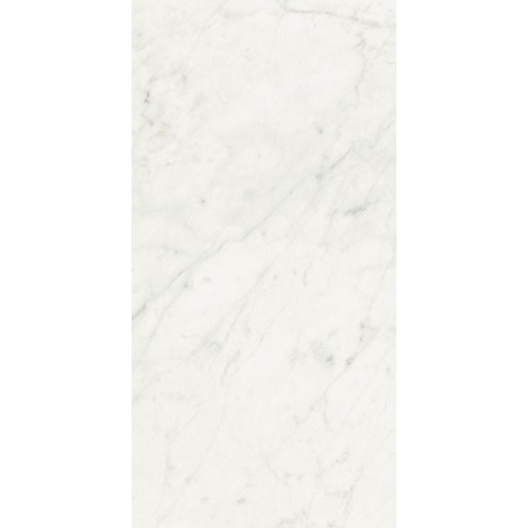 Stontech Stone.01 Glossy 24 x 48 - Hey Tiles