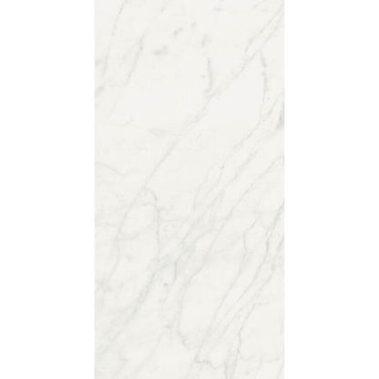 Stontech Stone.01 Glossy 24 x 48 - Hey Tiles