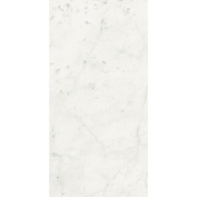 Stontech Stone.01 Glossy 24 x 48 - Hey Tiles