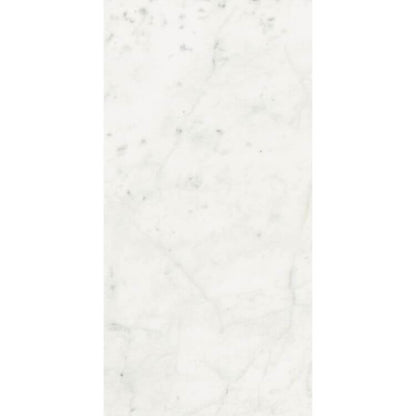 Stontech Stone.01 Glossy 24 x 48 - Hey Tiles