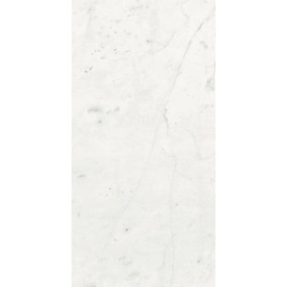 Stontech Stone.01 Glossy 24 x 48 - Hey Tiles