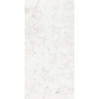 Stontech Stone.01 Glossy 24 x 48 - Hey Tiles