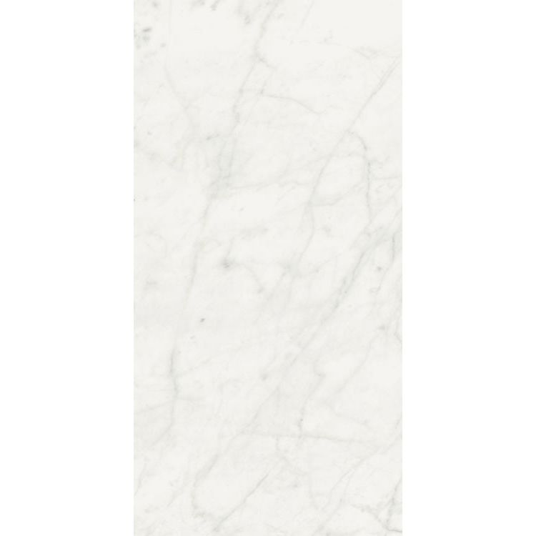 Stontech Stone.01 Glossy 24 x 48 - Hey Tiles