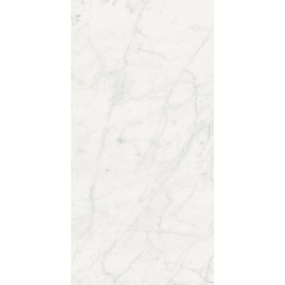 Stontech Stone.01 Glossy 24 x 48 - Hey Tiles