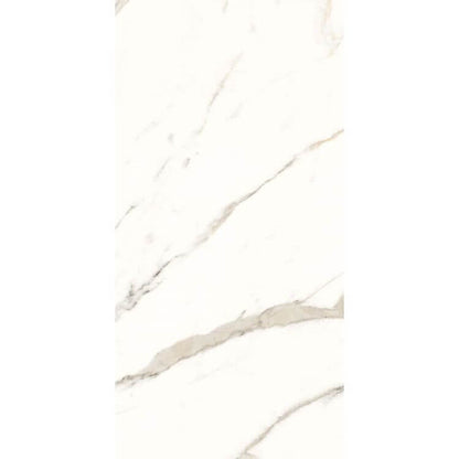 Trilogy Calacatta White Lux 24 x 48 - Hey Tiles