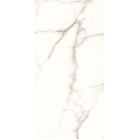 Trilogy Calacatta White Lux 24 x 48 - Hey Tiles