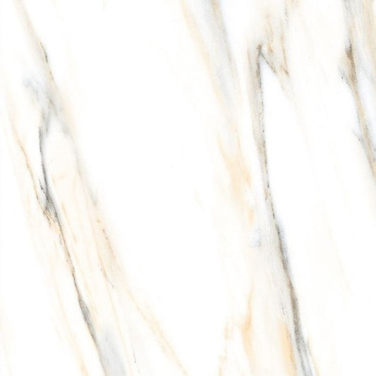 AGL Calacatta Gold Polished 24 x 24 Porcelain Tile