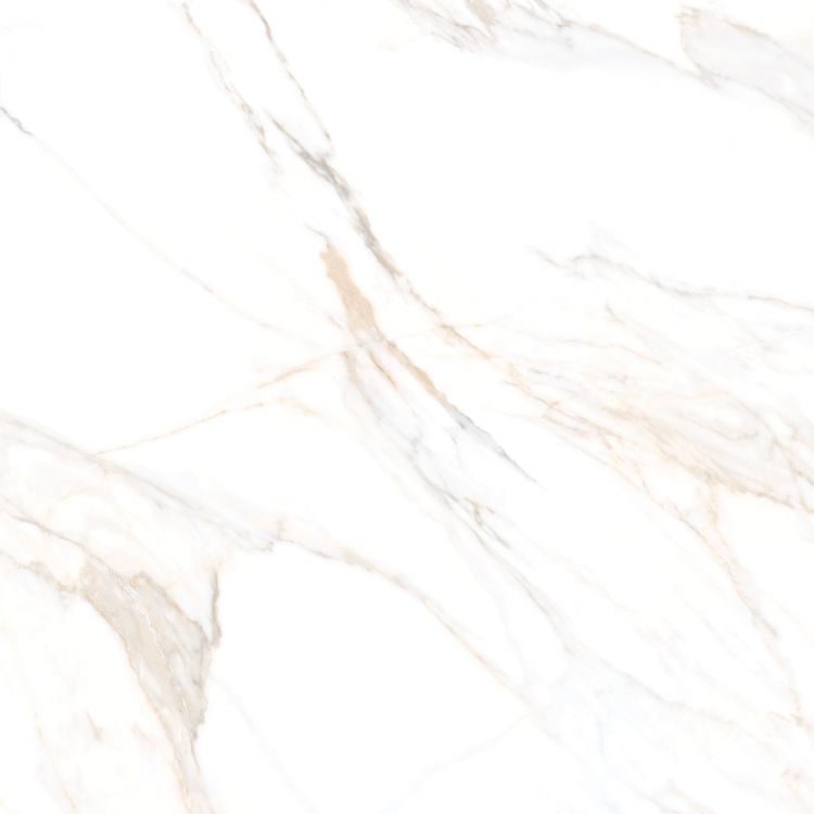 Aurum Calacatta Polished 36 x 36 Porcelain Tile