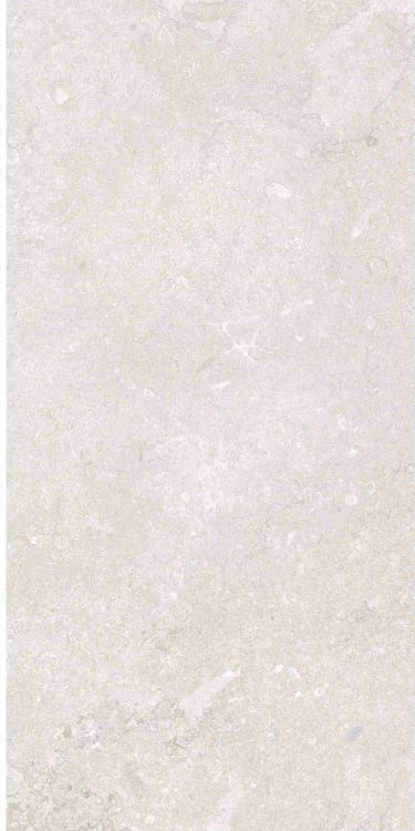 OL Port Land Stone Bianco Matte 12 x 24 Porcelain Tile