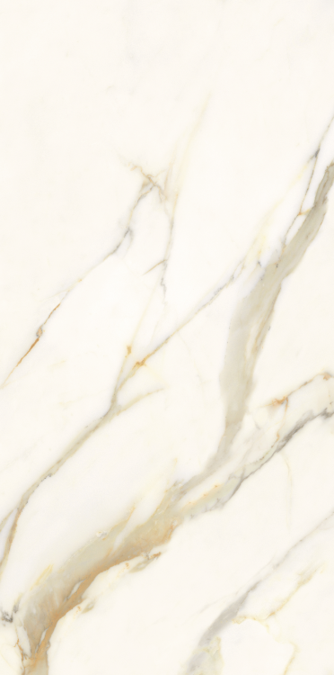 Time Dorado Matte 12 x 24 Porcelain Tile