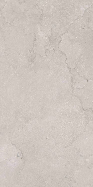 OL Port Land Stone Greige Matte 24 x 48 Porcelain Tile