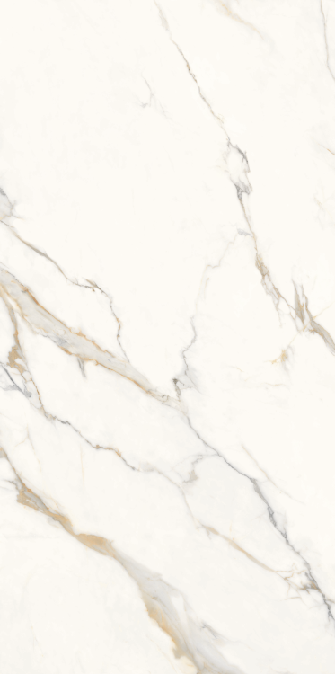 Time Dorado Matte 24 x 48 Porcelain Tile