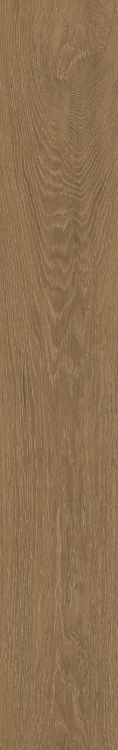 Time Wood Essence 7.5 x 48 Porcelain Tile