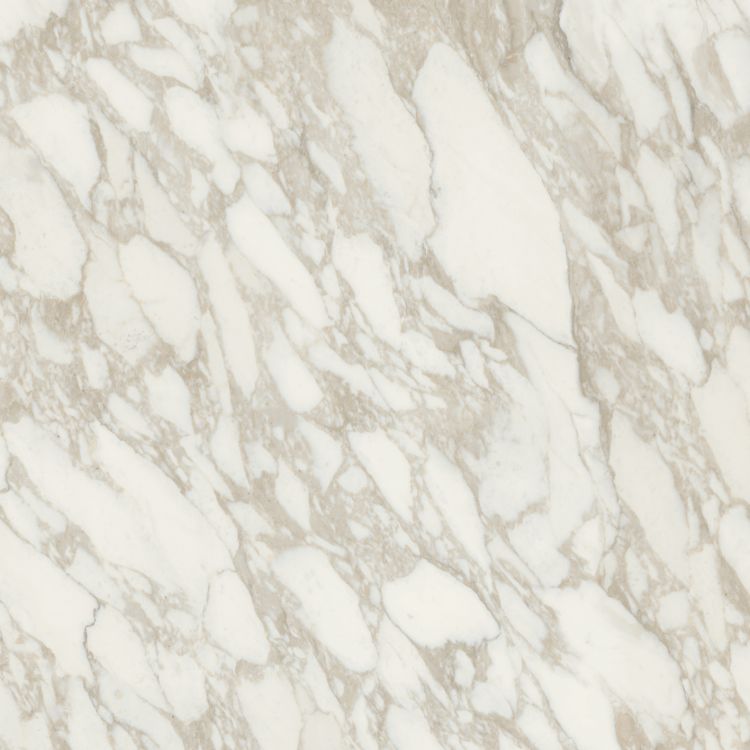 Bianchi Calacatta Luc 32 x 32 Italian Porcelain Tile