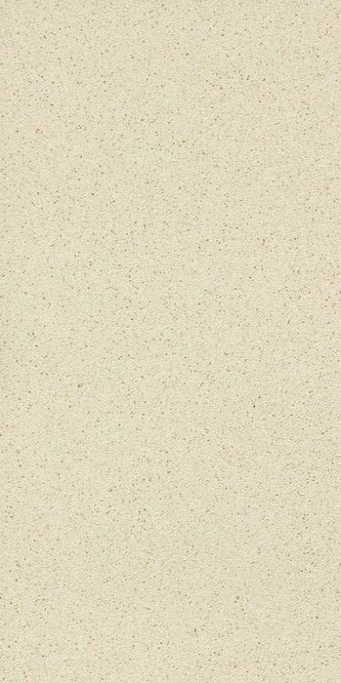 Oracle White 12 x 24 Porcelain Tile