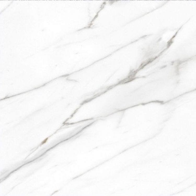 AGL Carrara Polished 24 x 24 Porcelain Tile