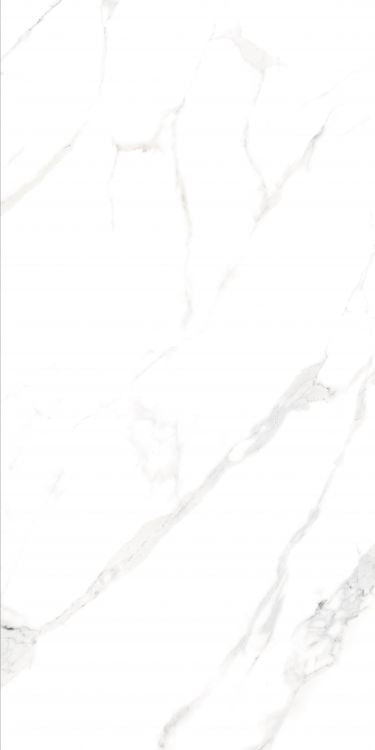 AGL Statuario Matte 24 x 48 Porcelain Tile
