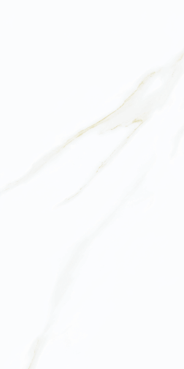 Time Cielo Matte 12 x 24 Porcelain Tile