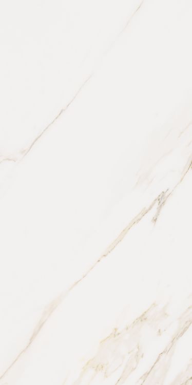 Omnia Calacatta Matte 24 x 48 Italian Porcelain Tile