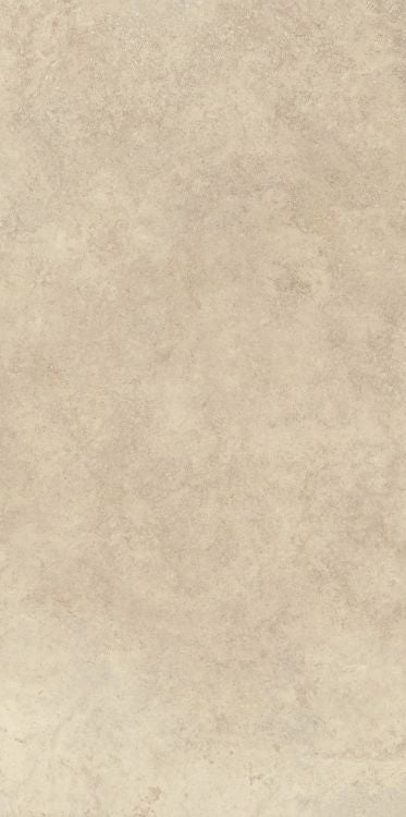 Arbia Sand Matte 24 x 48 Porcelain Tile