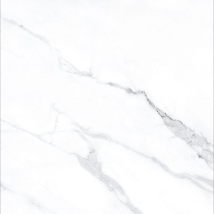 AGL Statuario Matte 24 x 24 Porcelain Tile