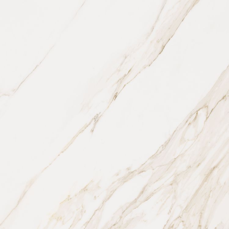 Omnia Calacatta Matte (2 PC) 48 x 48 Italian Porcelain Tile