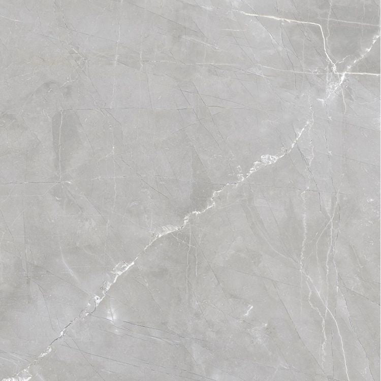 Luxury Amani Grey Matte 24 x 24 Porcelain Tile