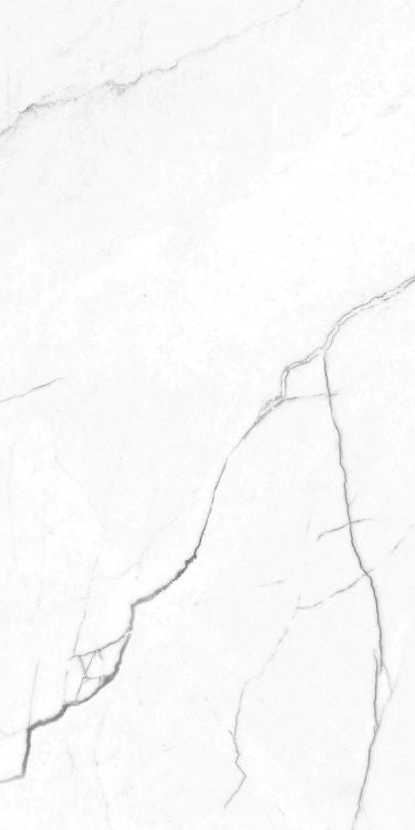 EC Elegance White Polished 12 x 24 Porcelain Tile