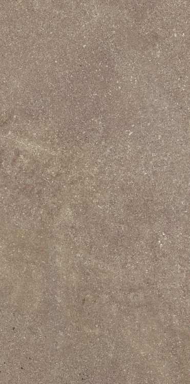 Madison Noce 12 x 24 Porcelain Tile