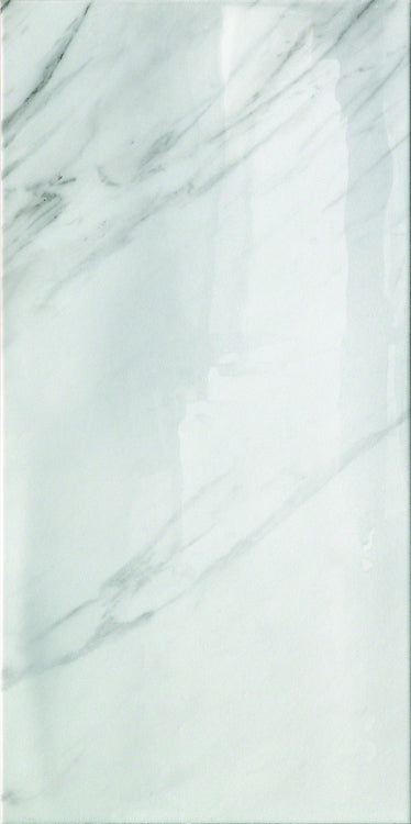 CanalGrande Lux 24 x 48 Italian Porcelain Tile