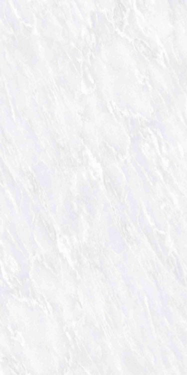 OL Vivid White Matte 12 x 24 Porcelain Tile