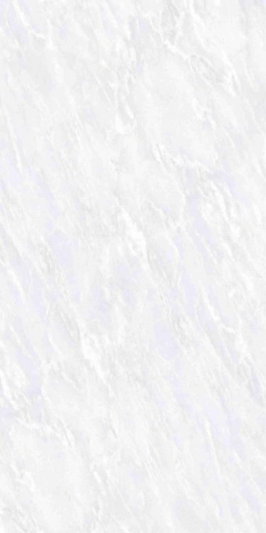 OL Vivid White Matte 12 x 24 Porcelain Tile