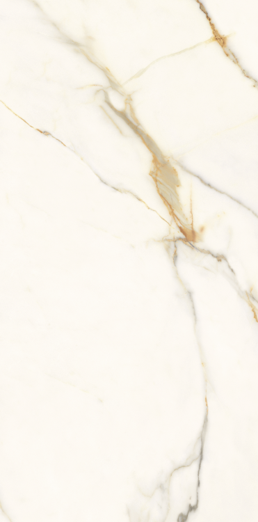 Time Dorado Polished 12 x 24 Porcelain Tile