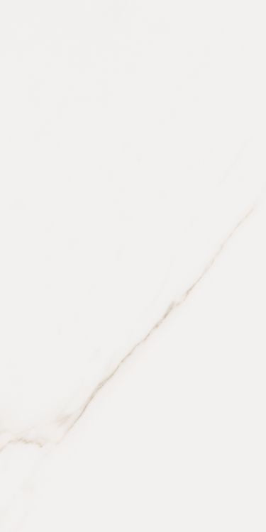 Omnia Calacatta Matte 12 x 24 Italian Porcelain Tile