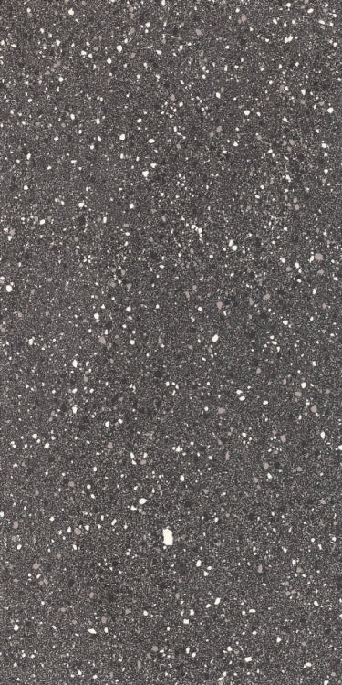 Rock 2013 Flat Dark Ash 12 x 24 Porcelain Tile
