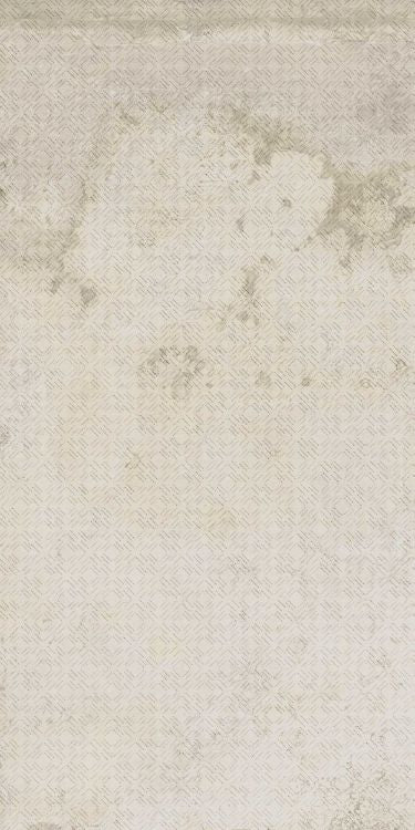 HLC Alchimia 10 - Bianco Decoro 24 x 48 Italian Porcelain Tile