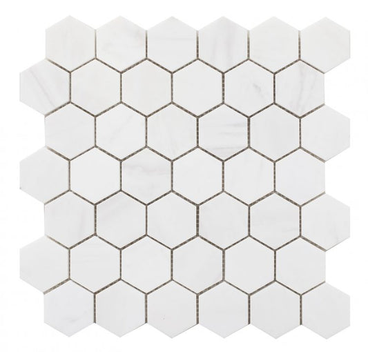 Hexagon Dolomite Honed 2 x 2 12 x 12 Mosaic Tile