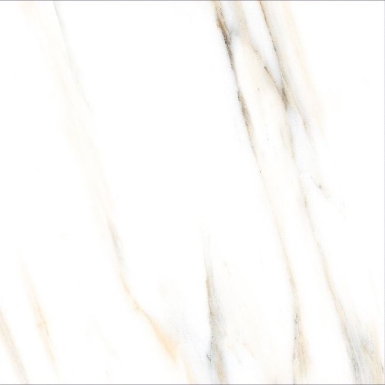 AGL Calacatta Gold Matte 24 x 24 Porcelain Tile